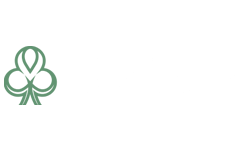 Dublin Bet Casino