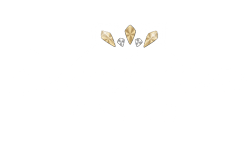 Exclusive Casino