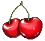 Cherries