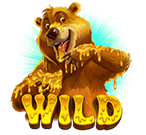 Bear Wild