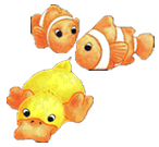 Duck and Clownfish