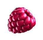 Raspberry