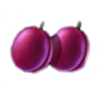 Plums