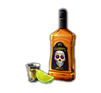 The Tequila Bottle