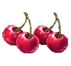 Cherries