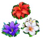 Red, Purple, or White Flower